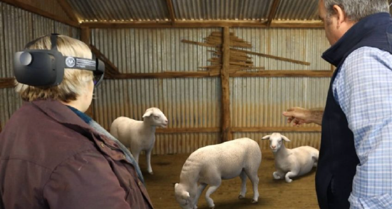 澳大利亚动物卫生局推出 AR 教育应用《 Sheep EAD AR 》【EV棋牌】-EV棋牌