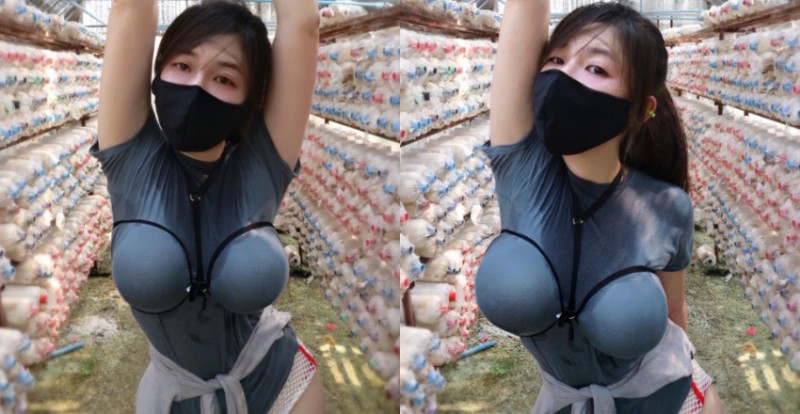 泰國「巨乳農村婦」穿限制級工作服上工　渾圓形狀讓人看傻眼【EV棋牌】-EV棋牌