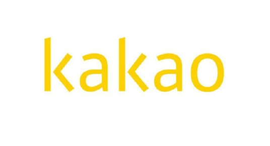 Kakao 赢得政府合同，建立国家支持的元宇宙医疗保健平台【EV棋牌】-EV棋牌