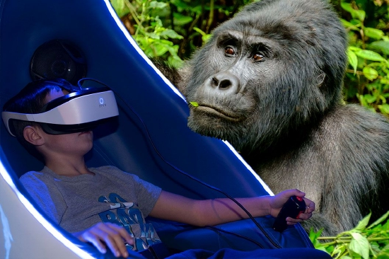 VR 纪录片《 GORILLA TREK 》获 2023 年卢米埃尔最佳应用奖【EV棋牌】-EV棋牌